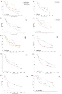 Analysis of the influencing factors in the long-term survival of esophageal cancer
